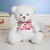 Personalized White Teddy Bear Soft Toy wearing Customized Photo and Message Tshirt